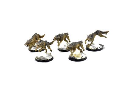 SPACE WOLVES Fenrisian Wolves #2 PRO PAINTED 40k