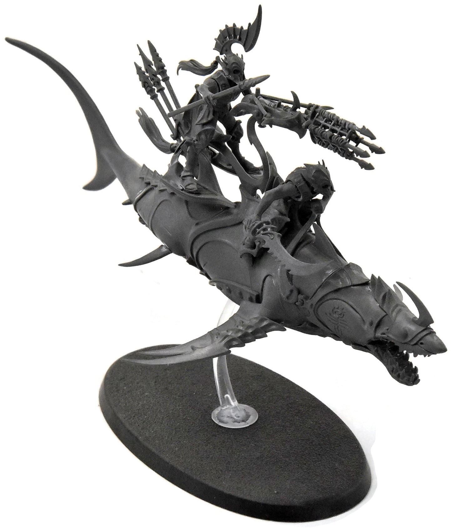IDONETH DEEPKIN Akhelian Allopex #1 Warhammer Sigmar