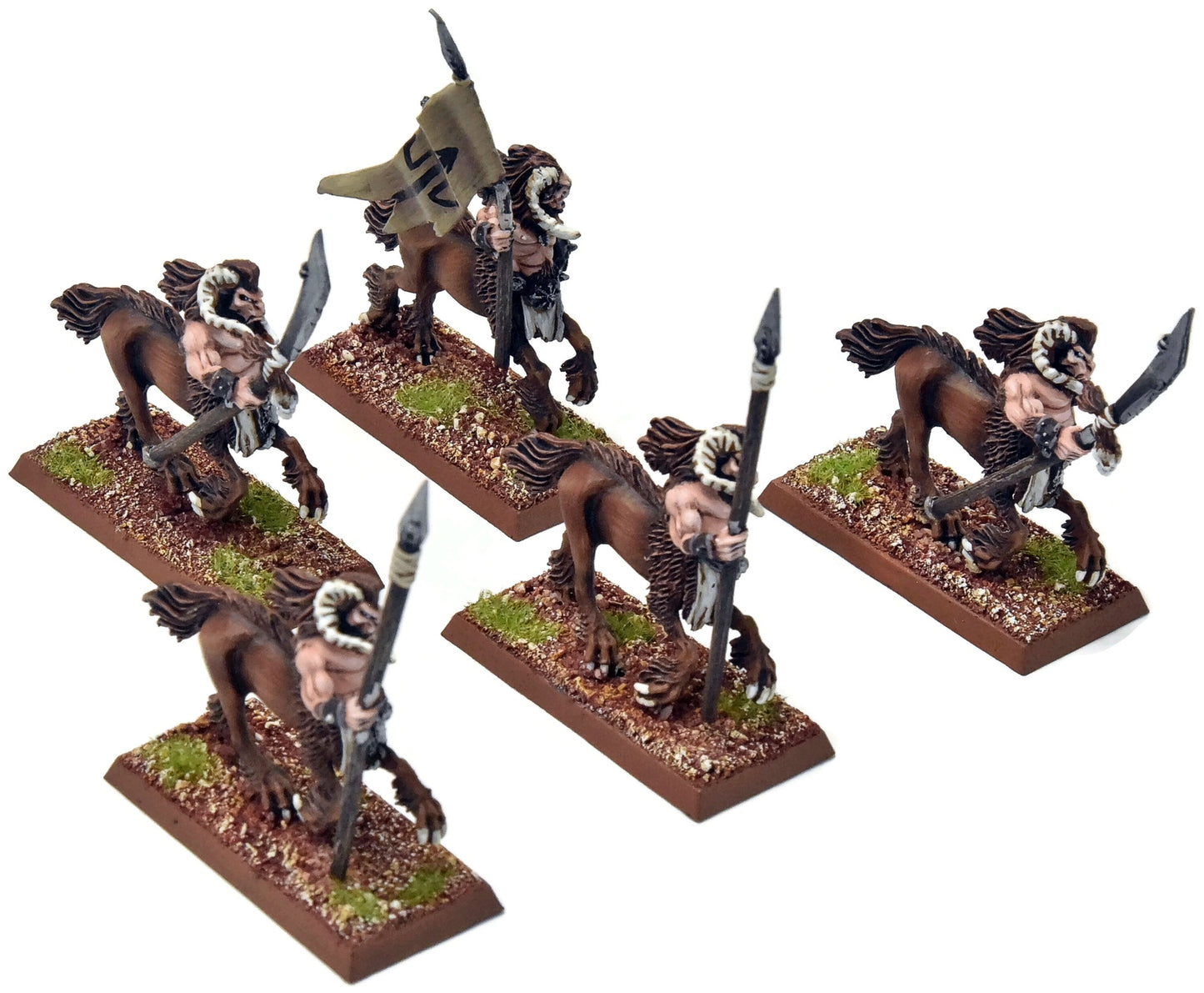 BEASTMEN 5 Centigor Herds #1 PRO PAINTED Metal