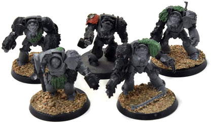 SPACE MARINES 5 Terminator Squad #2 Warhammer 40K 8519