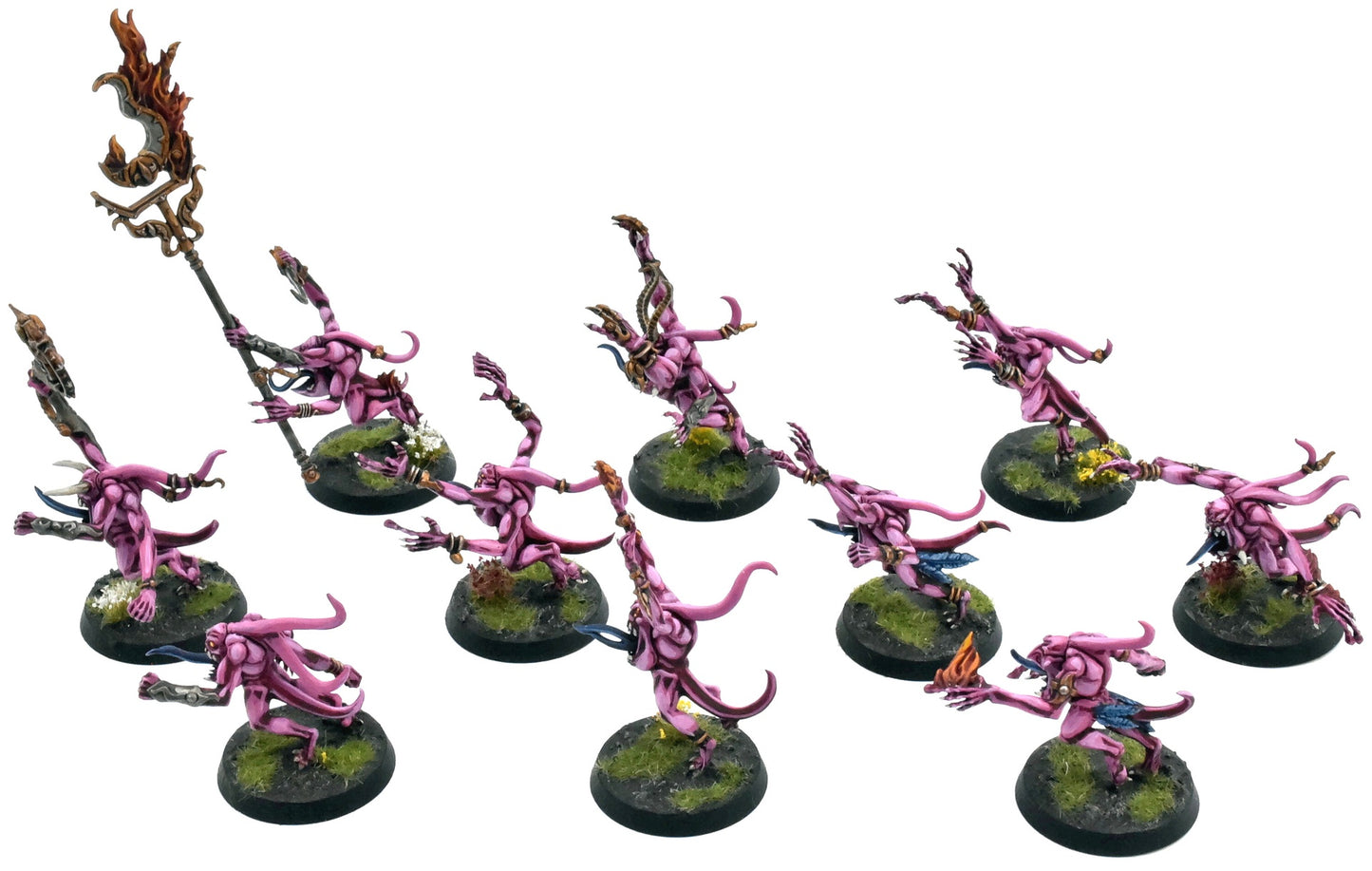 DISCIPLES OF TZEENTCH 10 Pink Horrors Of Tzeentch #1 PRO PAINTED Sigmar