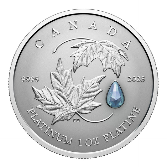 Maple Leaf Forever – 1 oz. $300 Pure Platinum Coin (2025)(249580)