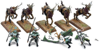 WOOD ELVES 5 Wild Riders #1 PRO PAINTED INCOMPLETE Fantasy Missing One Rider
