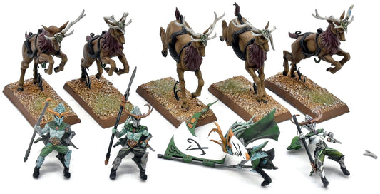 WOOD ELVES 5 Wild Riders #1 PRO PAINTED INCOMPLETE Fantasy Missing One Rider