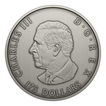 Predator or Prey in Shadow Box – Fine Silver Coin