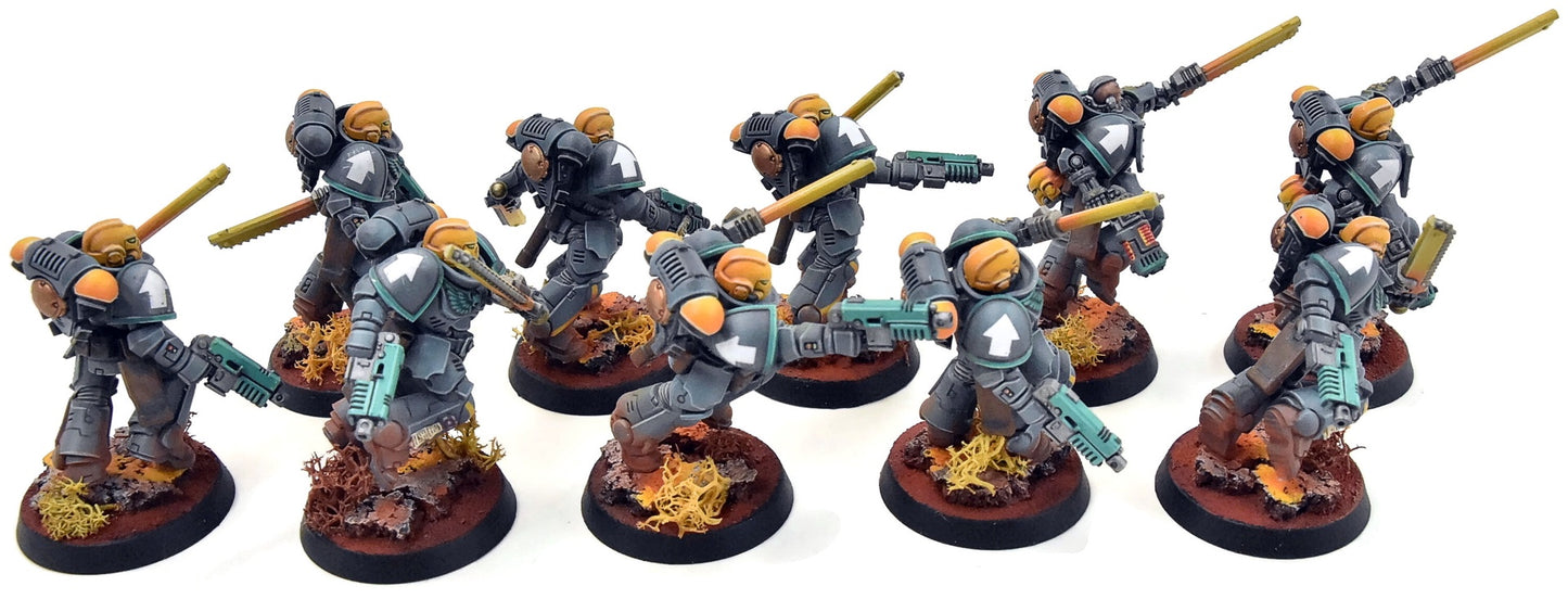 SPACE MARINES 10 Assault Intercessors Squad #2 PRO PAINTED Warhammer 40K