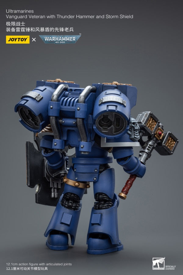 Vanguard Veteran with Thunder Hammer and Storm Shield Ultramarines Joy Toy