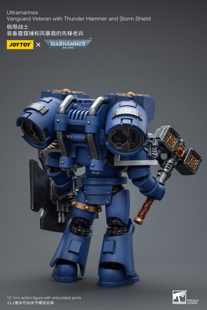 Vanguard Veteran with Thunder Hammer and Storm Shield Ultramarines Joy Toy