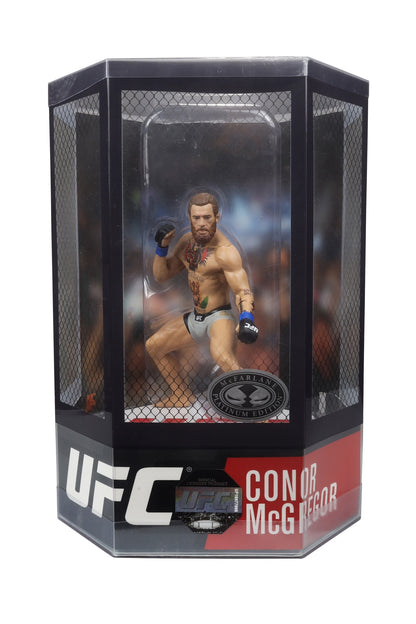 Conor McGregor en photo pour l'UFC