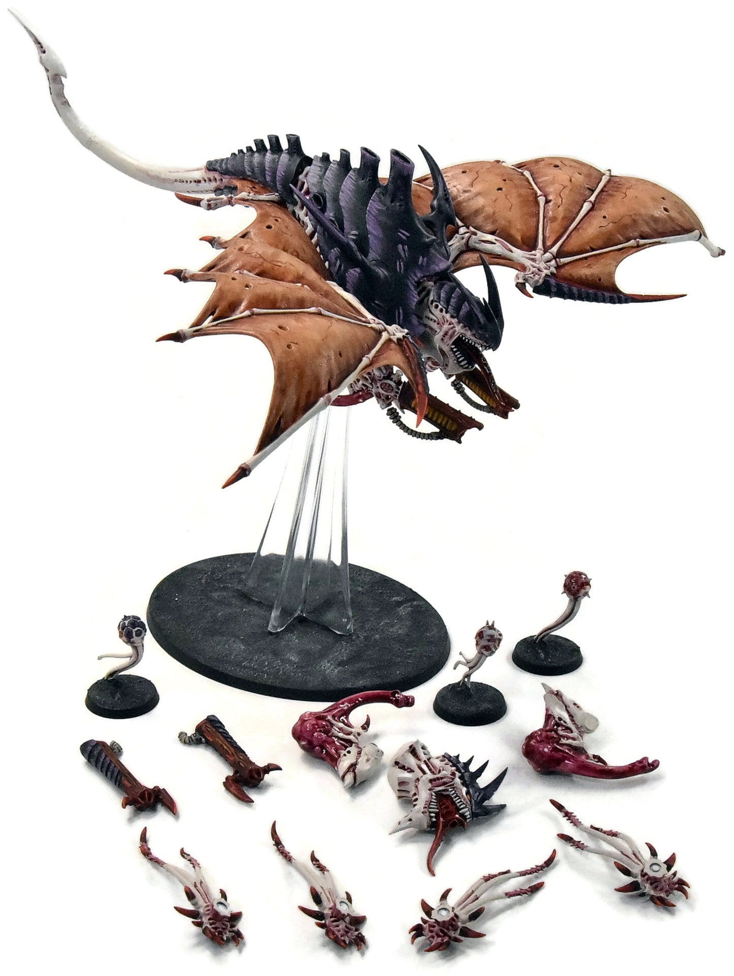 TYRANIDS Harpy Hive Crone #1 PRO PAINTED magnetized Warhammer 40K