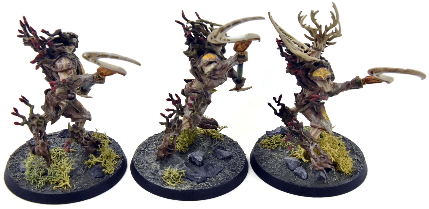SYLVANETH 3 Kurnoth Hunters #2 WELL PAINTED Sigmar
