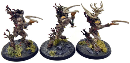 SYLVANETH 3 Kurnoth Hunters #2 WELL PAINTED Sigmar