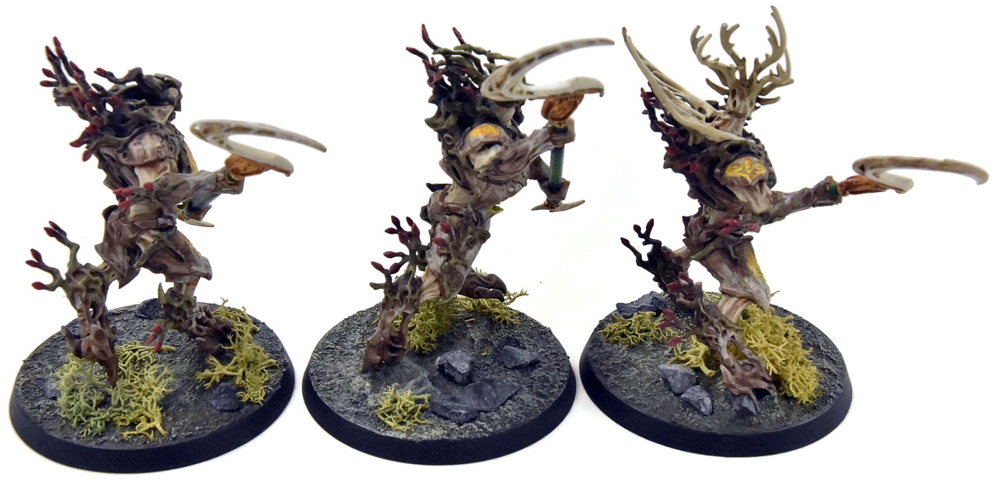 SYLVANETH 3 Kurnoth Hunters #2 WELL PAINTED Sigmar