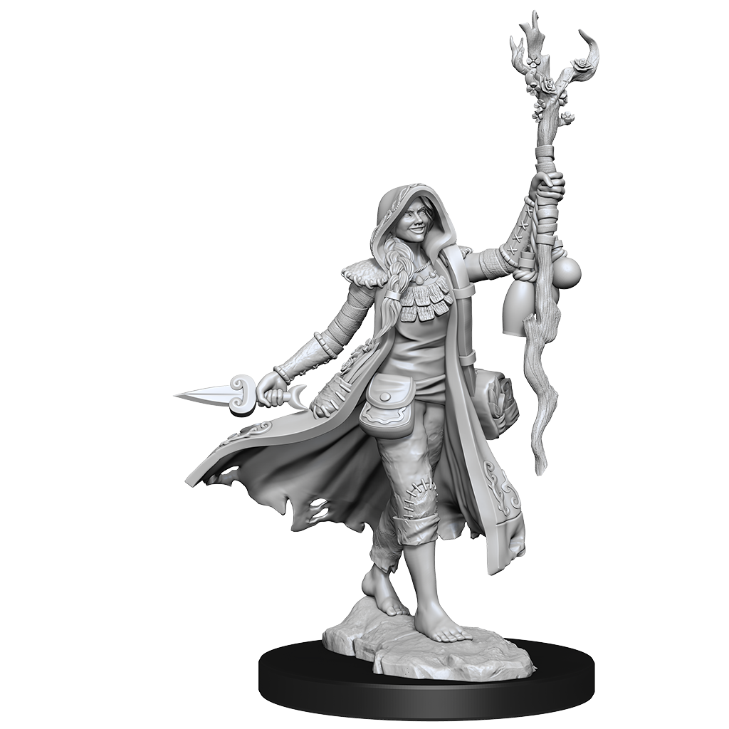 D&D FRAMEWORKS WV1 Human Druid Female