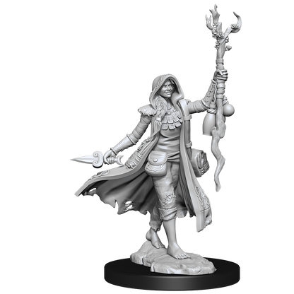 D&D FRAMEWORKS WV1 Human Druid Female