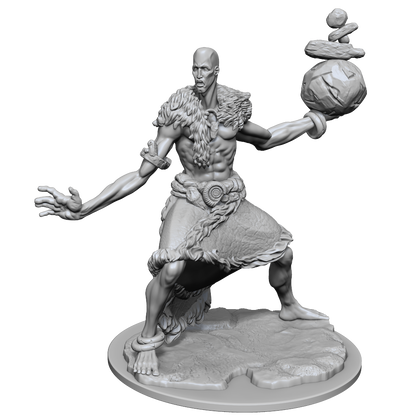 D&D FRAMEWORKS WV1 STONE GIANT