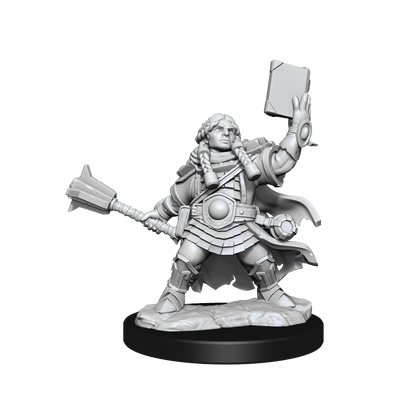 D&D FRAMEWORKS WV1 Dwarf Cleric Female