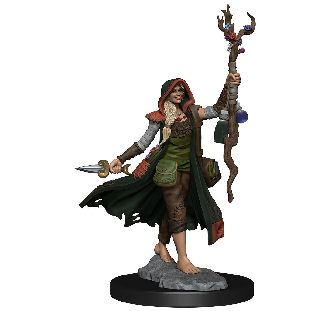 D&D FRAMEWORKS WV1 Human Druid Female