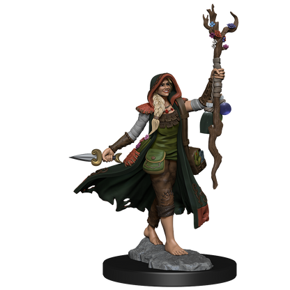 D&D FRAMEWORKS WV1 Human Druid Female