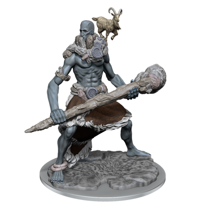 D&D FRAMEWORKS WV1 STONE GIANT