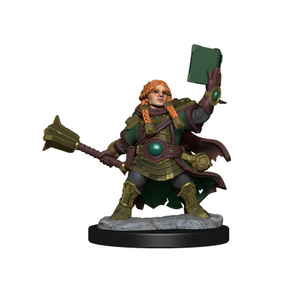 D&D FRAMEWORKS WV1 Dwarf Cleric Female