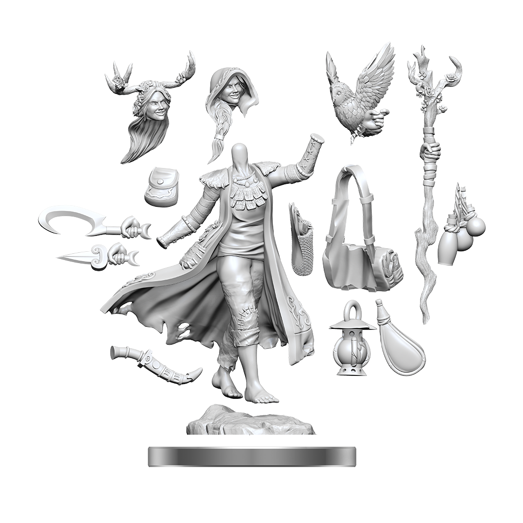D&D FRAMEWORKS WV1 Human Druid Female