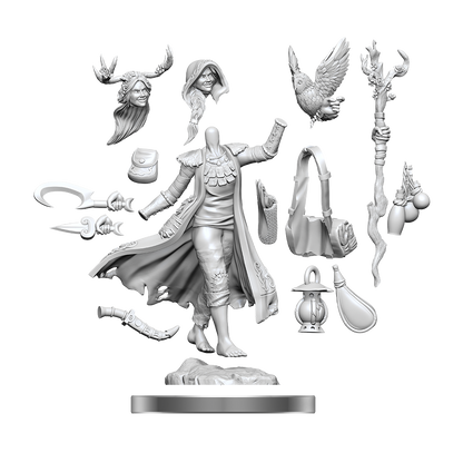 D&D FRAMEWORKS WV1 Human Druid Female