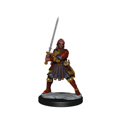 D&D Frameworks Wv1 Human Fighter Female