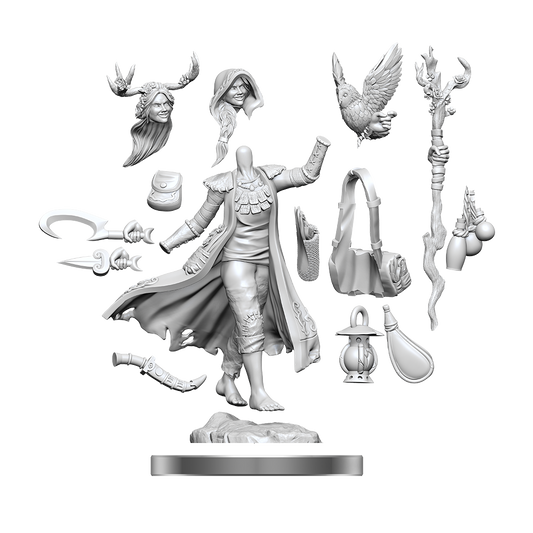 D&D FRAMEWORKS WV1 Human Druid Female