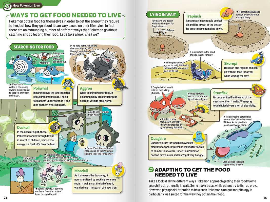 Pokecology An Illustrated Guide To Pokémon Ecology (EN)