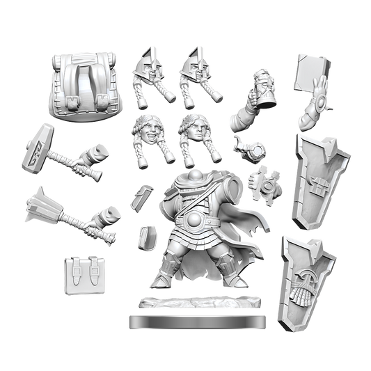 D&D FRAMEWORKS WV1 Dwarf Cleric Female