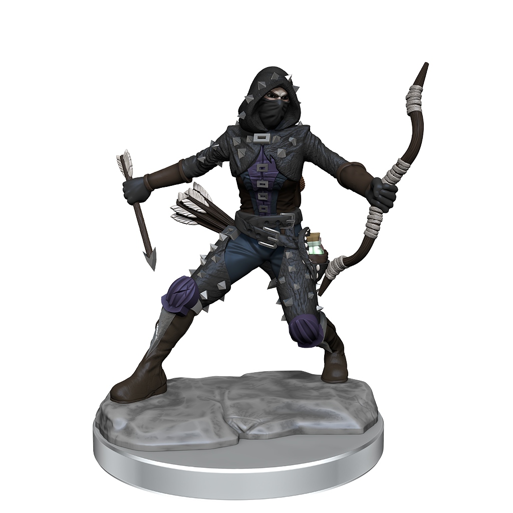D&D Frameworks Wv1 Human Rogue Female