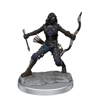 D&D Frameworks Wv1 Human Rogue Female