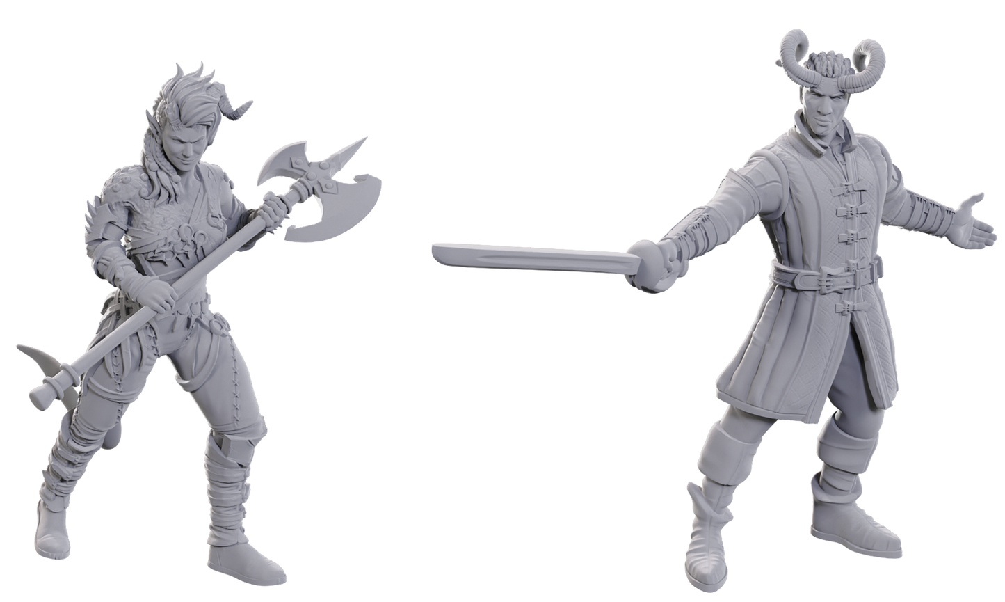 D&D Unpainted Minis Special Edition Baldur's Gate 3 WYLL & KARLACH