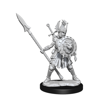 D&D Frameworks Wv1 Human Fighter Female