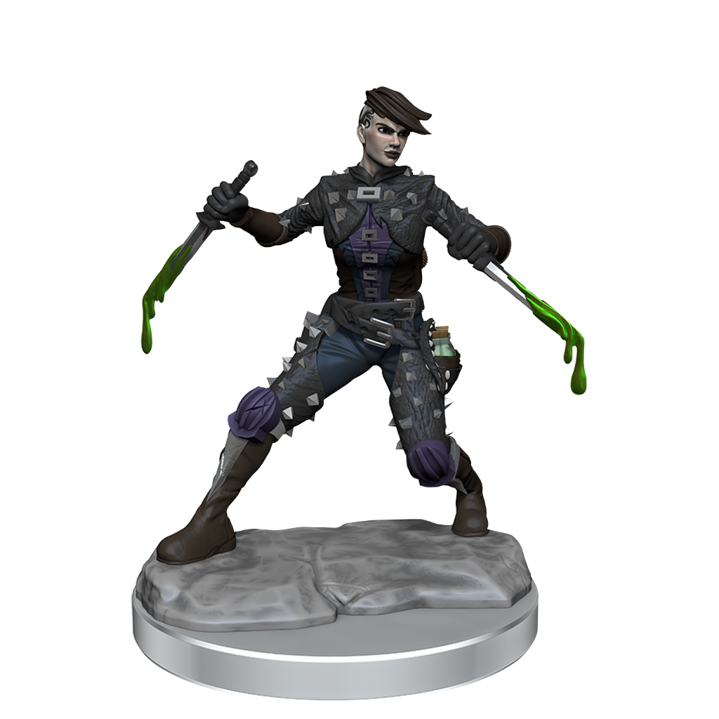 D&D Frameworks Wv1 Human Rogue Female