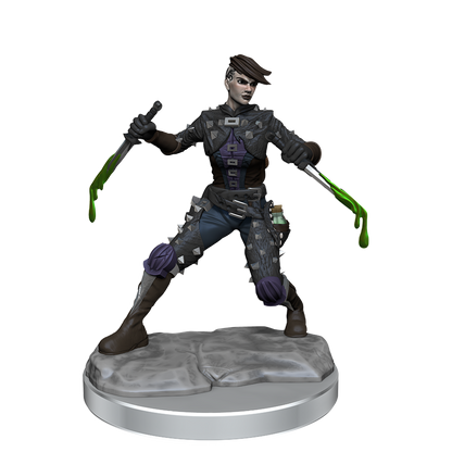 D&D Frameworks Wv1 Human Rogue Female