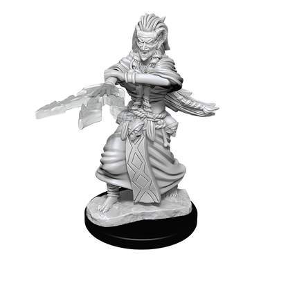 Dnd Unpainted Minis Wv14 Night Hag/dusk Hag