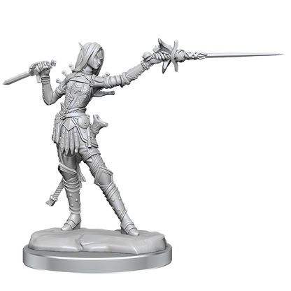 Pathfinder Legendary Cuts Wv2 Female Elf Rogue