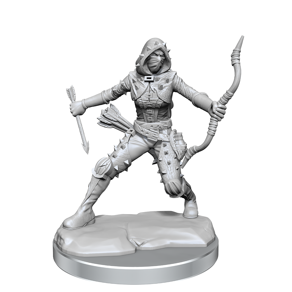D&D Frameworks Wv1 Human Rogue Female