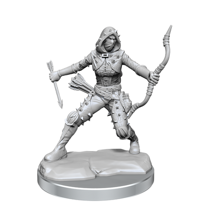 D&D Frameworks Wv1 Human Rogue Female