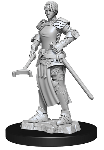 Wizkids Unpainted Minis Wv12 Castle King.retainers