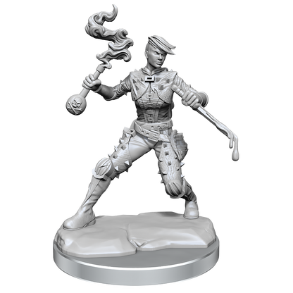 D&D Frameworks Wv1 Human Rogue Female