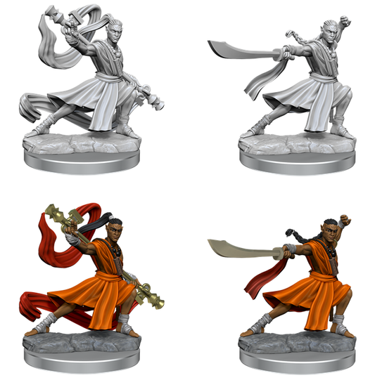 D&D FRAMEWORKS WV1 Elf MONK Male