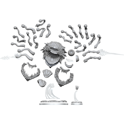 D&D FRAMEWORKS WV1 BEHOLDER