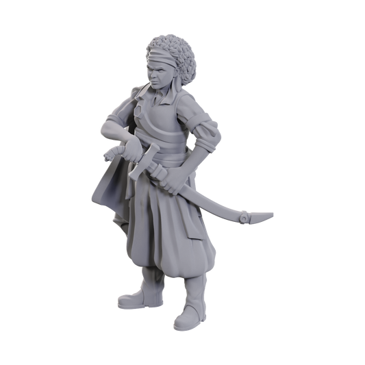 D&D Unpainted Minis WV23 ANSALON Human Rogue