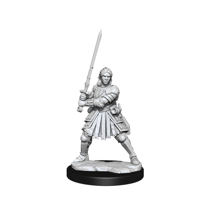 D&D Frameworks Wv1 Human Fighter Female