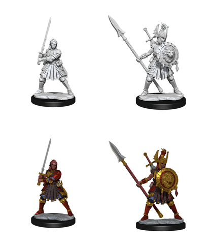 D&D Frameworks Wv1 Human Fighter Female