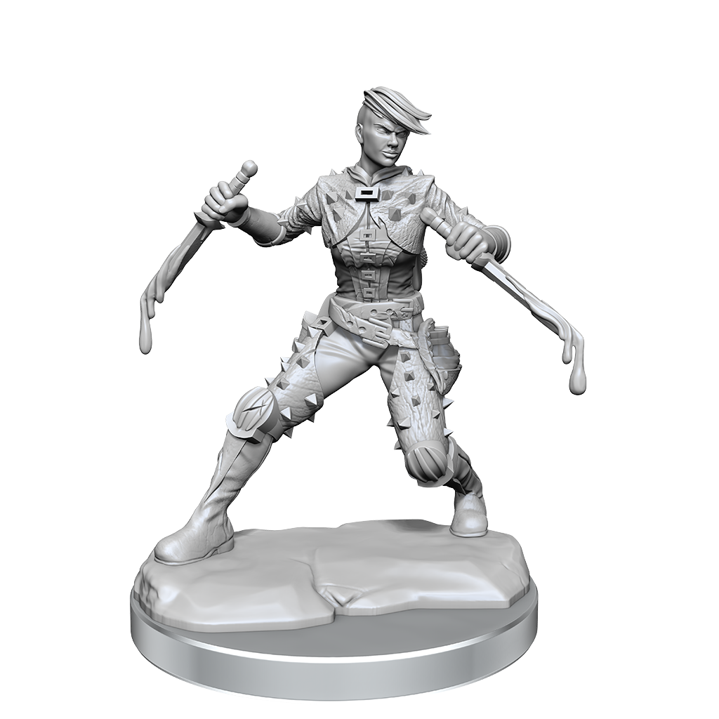 D&D Frameworks Wv1 Human Rogue Female