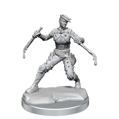 D&D Frameworks Wv1 Human Rogue Female